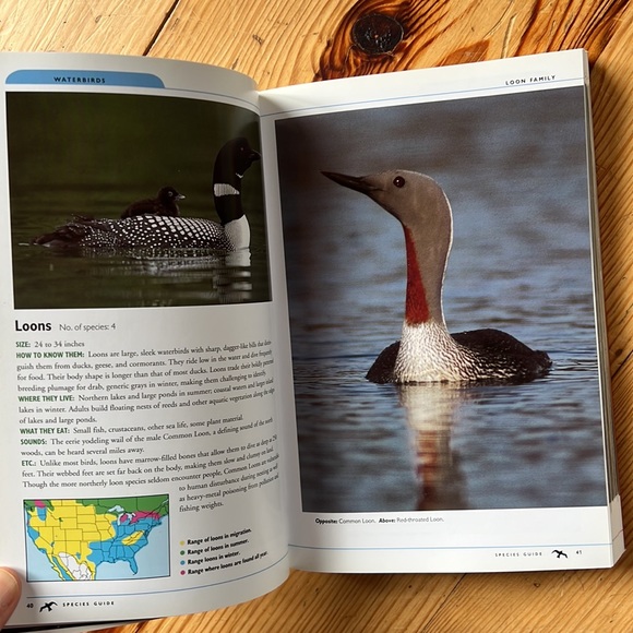 Maine’s Favorite Birds & Birds of North America Books - Picture 11 of 16